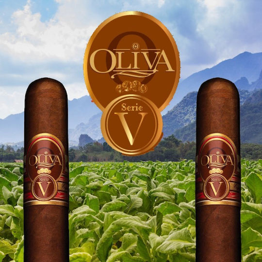 Panora Baureihe V Lancero Zigarren Nicaragua 1Stück 177mm