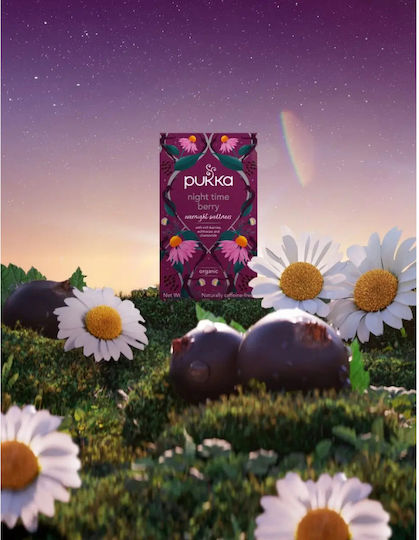 Pukka Organic Tea Night Time Berry 20 Tea Bags 18104