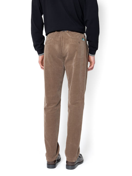 Hose Elastisch Brown