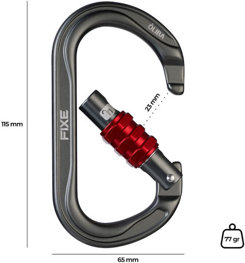 Fixe Oliba Screw Lock Anthracite Red Carabiner Ασφαλειας