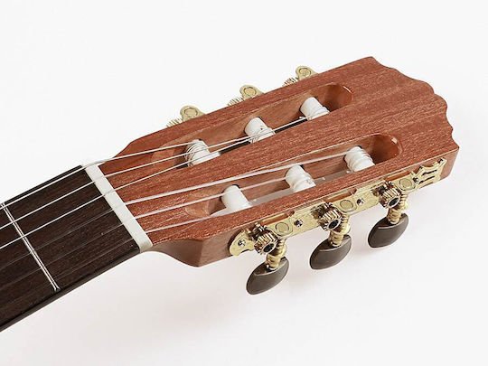 Cc10ce Salvador Cortez Student Series Electro-Classical Guitar