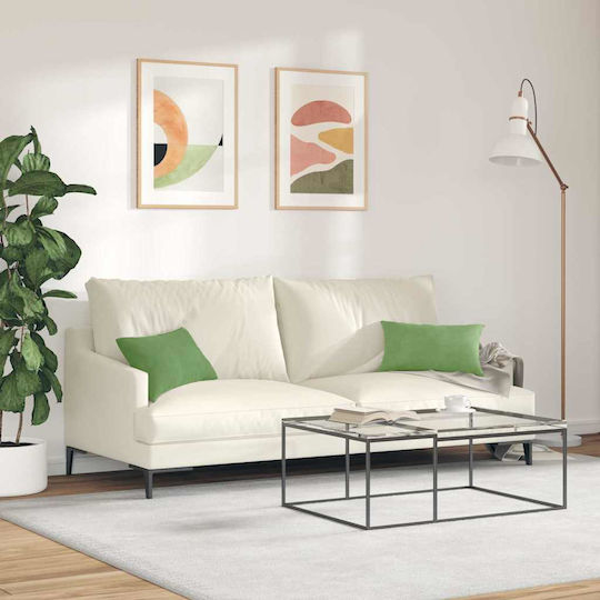 vidaXL Throw Pillow Light Green 2 Pieces 30x50cm