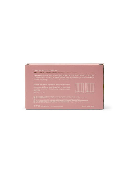 Here's How Set of Glasses Cocktail/Drinking / Whiskey made of Glass in Pink Color 266ml 2pcs