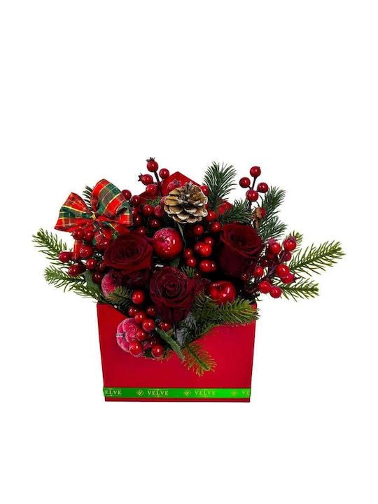 Velve Crăciun Decorativ Sucursala