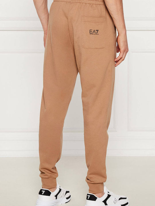 Emporio Armani Pantaloni de trening Tigers Eye
