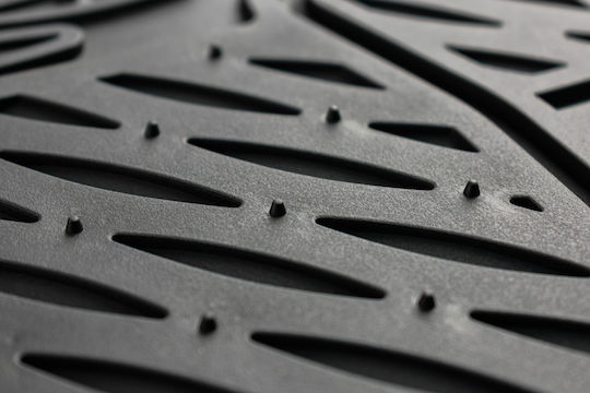 Cartech Front Mats 2pcs Black