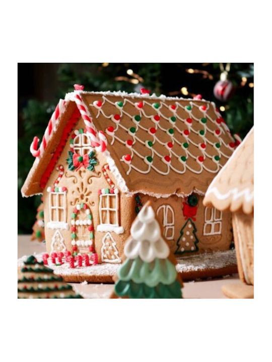 PME Set Christmas Cake Molds Plastic L17.4xW10.7xD3cm. 3pcs