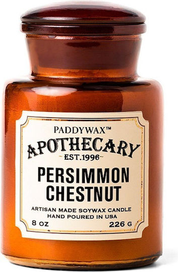 Paddywax Apothecary Αρωματικό Σόγιας σε Βάζο