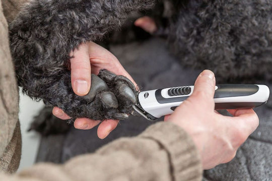 Trixie Wiederaufladbare Hundepflege-Scheren & Klingen Akku Trimmer Slim Tr500 Weiß Schwarz 10w