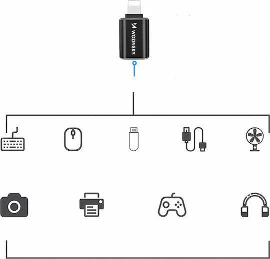 Wozinsky Konverter Blitzschlag männlich zu USB-A weiblich 1Stück WALA-01