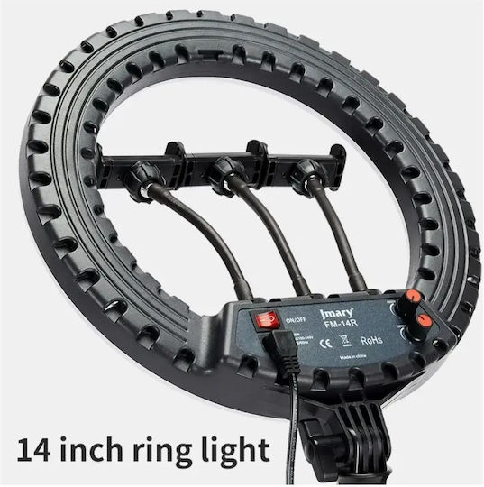 Ring Light 34cm with Mobile Phone Holder
