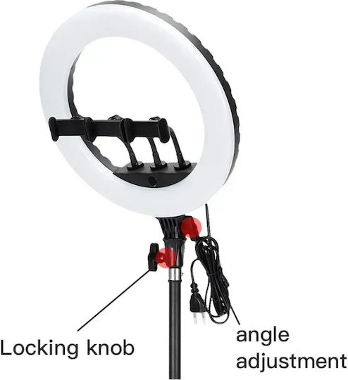 Ring Light 34cm with Mobile Phone Holder