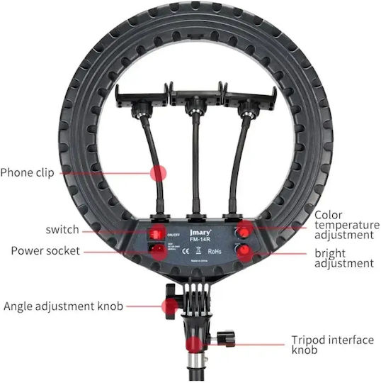 Ring Light 34cm with Mobile Phone Holder