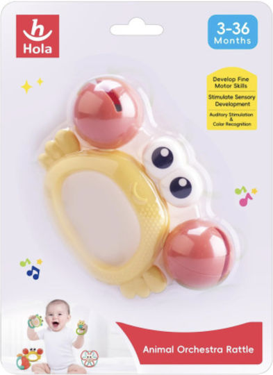 Hola Toys Teething Rattle