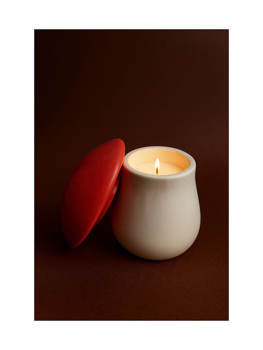 Handmade Mushroom Aromatic Soy Candle 10x11cm