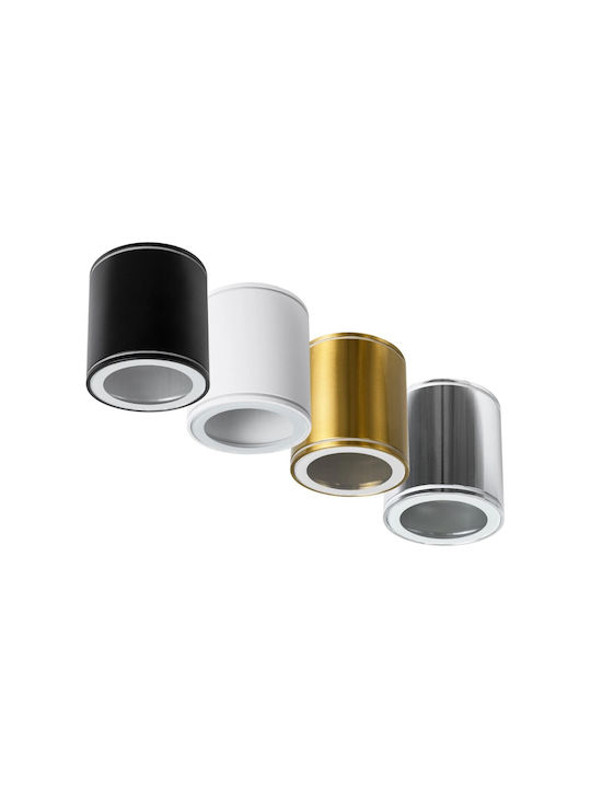 kelvo Maretti Spot with 10 Lights and with Socket GU10 in Gold Color