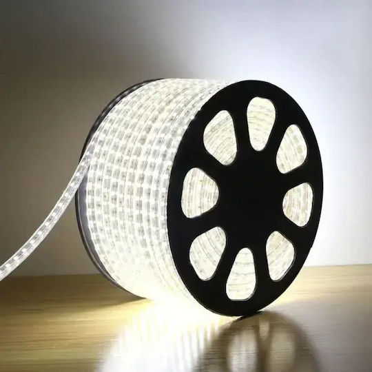LED Strip 5050 6mm White Lighting Aerbes Ab-z845