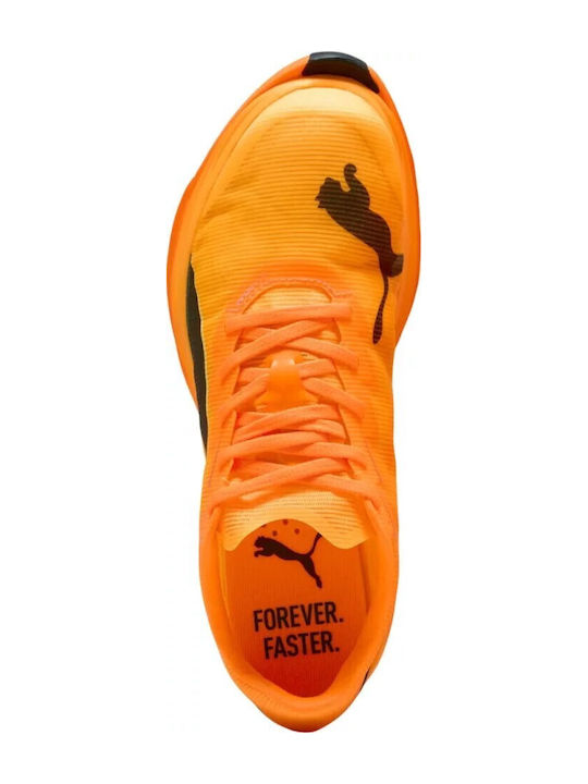 Nitro Elite Sport Shoes Running Heat Fire / Sun Stream