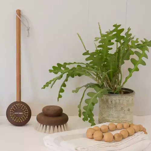 Andree Jardin Μεγάλη Βούρτσα Σώματος Ξύλο Οξιάς Φυσική Τρίχα Αλόγου
