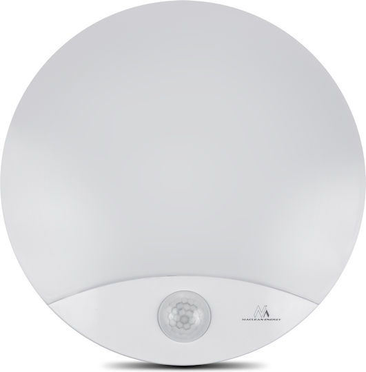 Maclean Energy Lumină de exterior montată pe perete LED IP44 10W cu Alb Natural Lumină