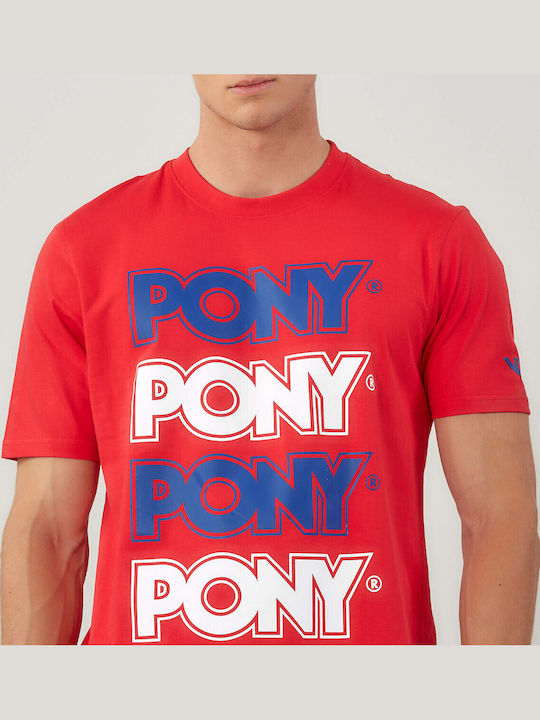 Pony