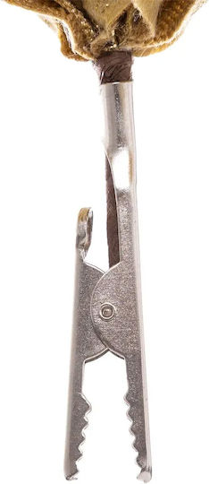Floare Decorative de Crăciun Poinsettia Clip 24x11 Cm Aurie
