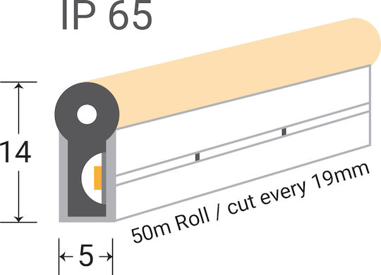 Eurospot Αδιάβροχη Ταινία LED 24V Ροζ Φως 5m Neon Flex