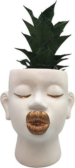 Sansevieria Ghiveci Ceramic Buze Aurii