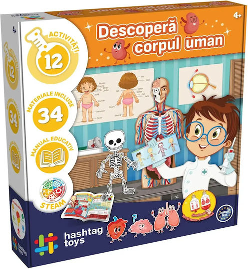 Joc Educațional de Cunoștințe pentru 4+ ani Ani