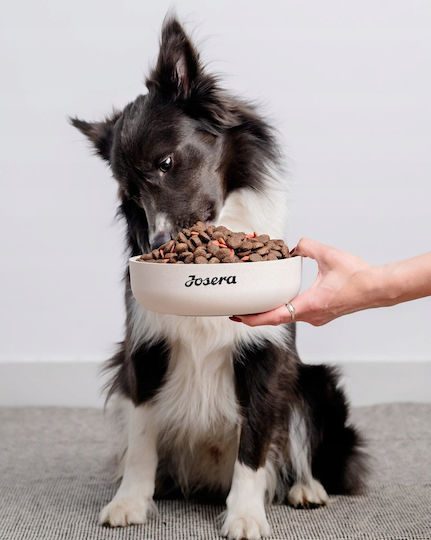 Josera Junior Kids 3kg Dry Food for Dogs with Chicken and Rice