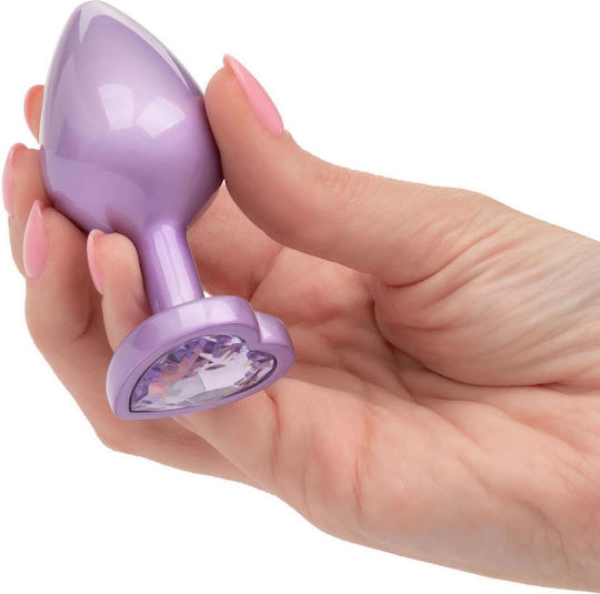 Calexotics Anal Plug Groß Lila