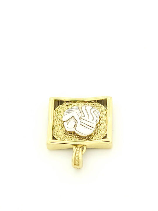 Κρεμαster Charm Tierkreiszeichen Wassermann aus 9K Gold mit Zirkon