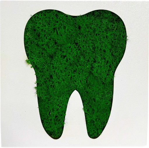 Green Smile Picture Stabilized Natural Moss Green