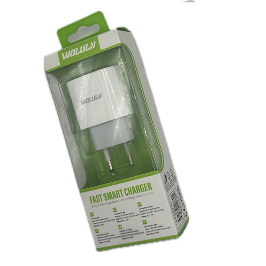 Chengxin Charger Without Cable with USB-C Port 20W Power Delivery Whites (Wolulu)
