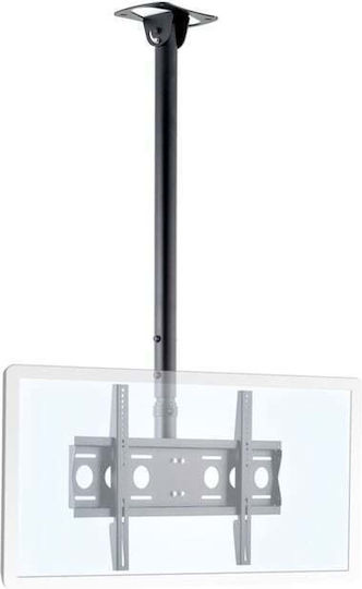 Edbak CMS21 CMS21 TV Mount Ceiling with Arm up to 65" and 60kg