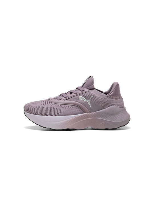 Softride Mayve Sport Shoes Running Plum / Lilac