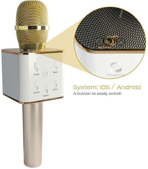 Microfon Karaoke Wireless Auriu 104639