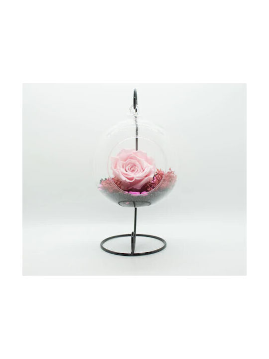 Glamouroses Cryogenated Rose Dusty Pink On A Bed Stabilized Moss In A Glass Globe On A Metal Stand Glamouroses Cryogenated Rose Dusty Pink On A Bed Stabilized Moss In A Glass Globe On A Metal Stand