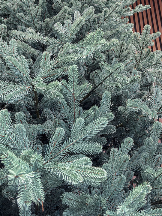 Weihnachtsbaum Viena 250cm mit 1240 Zweige Silber