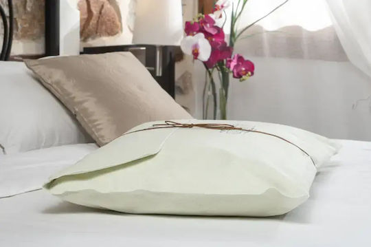 Alpha Foam Classic Aloe Vera Memory Foam 42x65x16cm