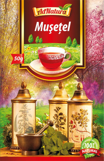 Adnatura Τσάι 50 Φακελάκια 50gr