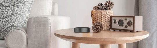 Arylic Стример