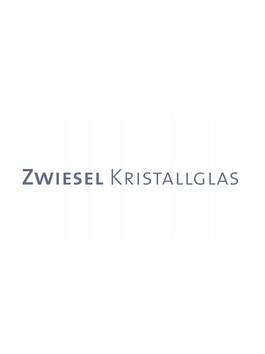 Zwiesel Glas Decorative Vase Transparent