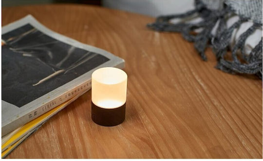 Gingko LED RGB Decorative Lamp Gingko LED RGB Decorative Lamp