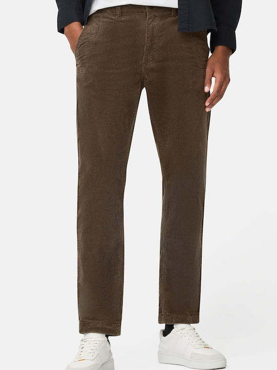 Camel Active