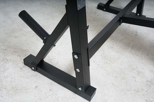 Viking BR-70 Banc de Antrenament Orizontal De Utilizare Generală / Pentru Biceps Cu Standuri