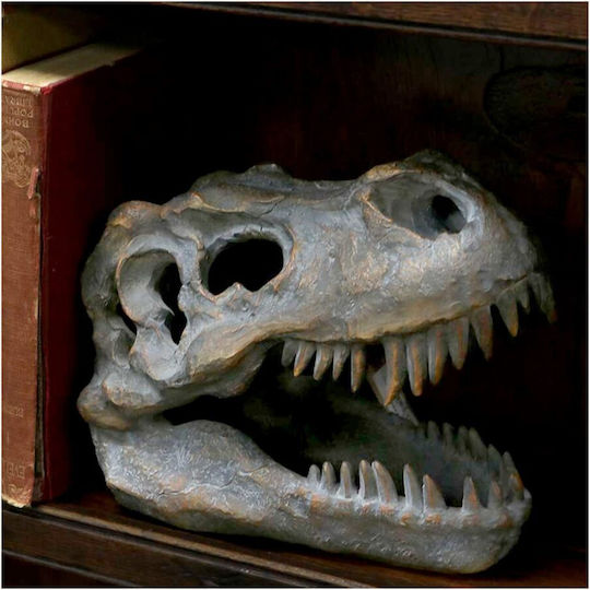Nemesis Now Skull Figure 16cm
