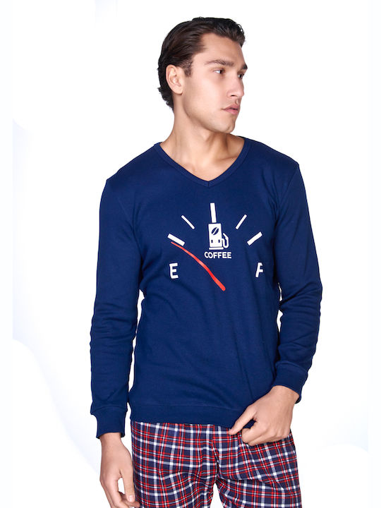 Comfort Brown, Blue