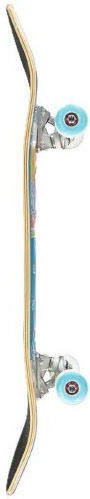 Athlopaidia Complete Shortboard 7" Multicolour