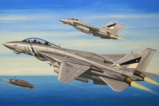Hobby Boss F-14d Super Tomcat In 1:72